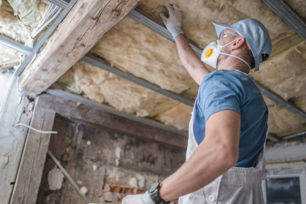 Types of Insulation We Offer in Fannett, TX