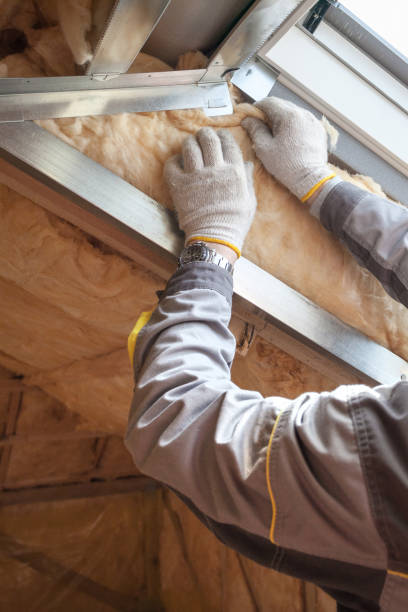 Best Eco-Friendly Insulation in Fannett, TX