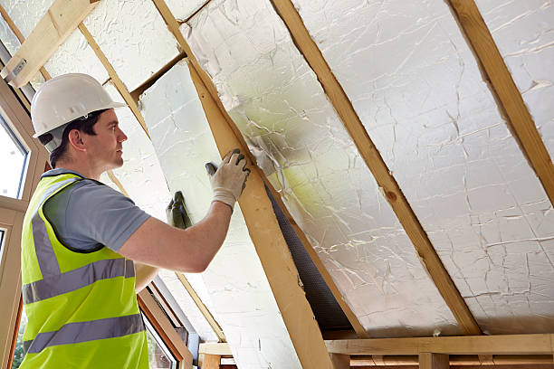 Best Insulation Maintenance and Repair in Fannett, TX